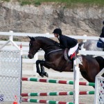 Equestrian Bermuda Feb 28 2018 (6)