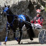 Harness Pony Racing Bermuda Feb 21 2018 2 (1)