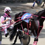 Harness Pony Racing Bermuda Feb 21 2018 2 (8)