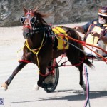 Harness Pony Racing Bermuda Feb 21 2018 2 (9)
