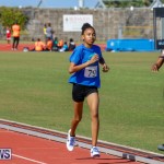 Track Meet Bermuda, February 18 2018-1168