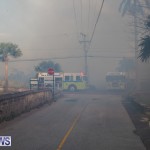 Devonshire Marsh Fire Mar 17 (20)