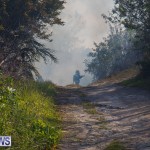 Devonshire Marsh Fire Mar 17 (36)