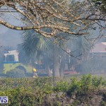 Devonshire Marsh Fire Mar 17 (41)