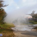 North Shore Shelley bay Salt Spray 03 Mar (3)