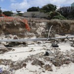 Shelly Bay Beach Park Bermuda March 5 2018 (13)