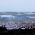 Shelly Bay Beach weather 03 Mar 01 (6)