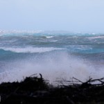 Shelly Bay Beach weather 03 Mar 01 (8)