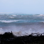 Shelly Bay Beach weather 03 Mar 01 (9)