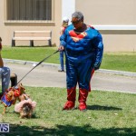 CedarBridge Academy Pet Pageant Bermuda, April 22 2018-6773
