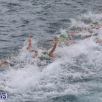 Elite Women MS Amlin ITU World Triathlon Bermuda, April 28 2018-1663