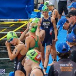 Elite Women MS Amlin ITU World Triathlon Bermuda, April 28 2018-2-95