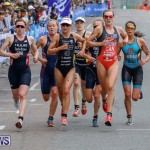 Elite Women MS Amlin ITU World Triathlon Bermuda, April 28 2018-2640