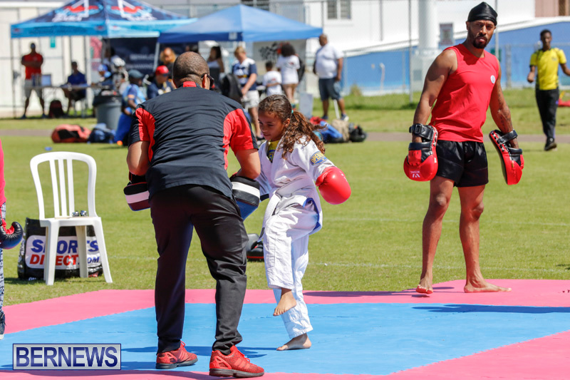 Youth-Sports-Expo-At-National-Sports-Centre-Bermuda-April-15-2018-1415