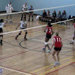 volleyball Bermuda April 25 2018 (12)