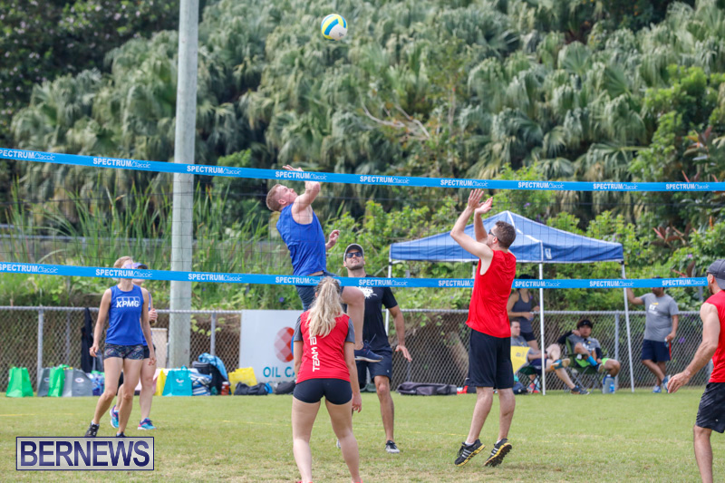 26th-Annual-Corporate-Volleyball-Tournament-Bermuda-May-12-2018-2874