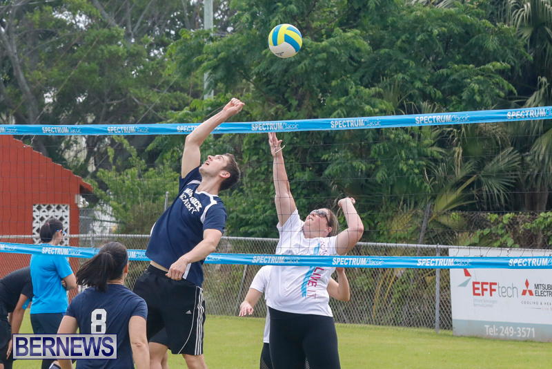 26th-Annual-Corporate-Volleyball-Tournament-Bermuda-May-12-2018-2910