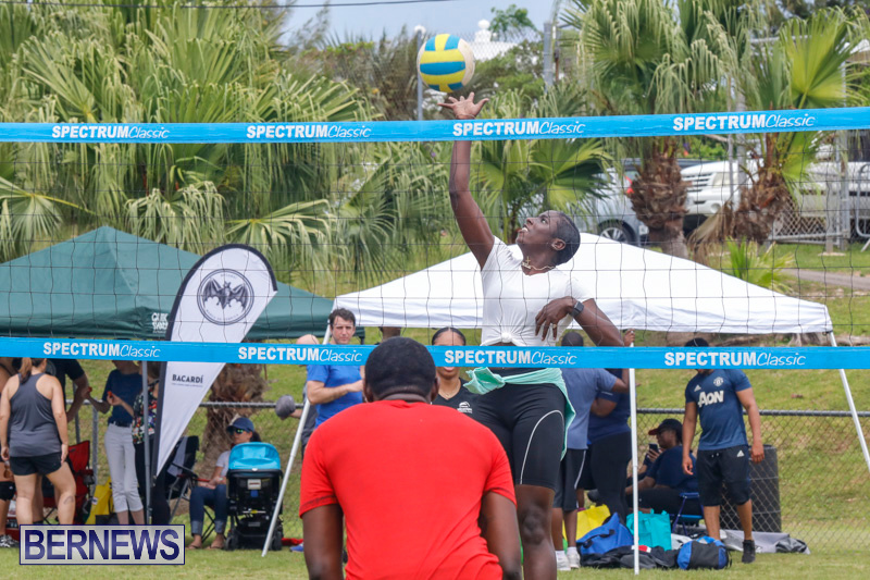 26th-Annual-Corporate-Volleyball-Tournament-Bermuda-May-12-2018-2970