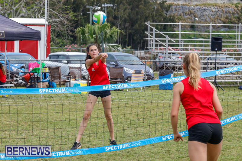 26th-Annual-Corporate-Volleyball-Tournament-Bermuda-May-12-2018-3002