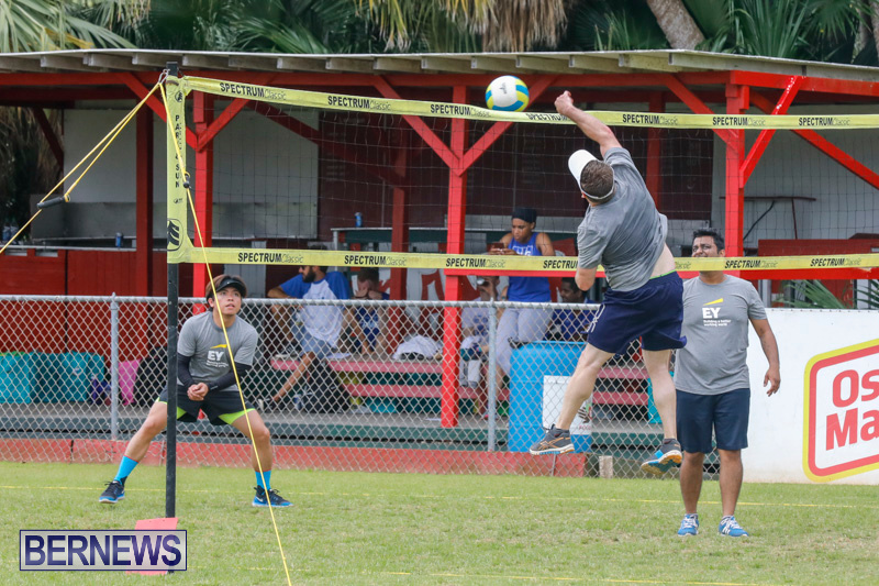 26th-Annual-Corporate-Volleyball-Tournament-Bermuda-May-12-2018-3056