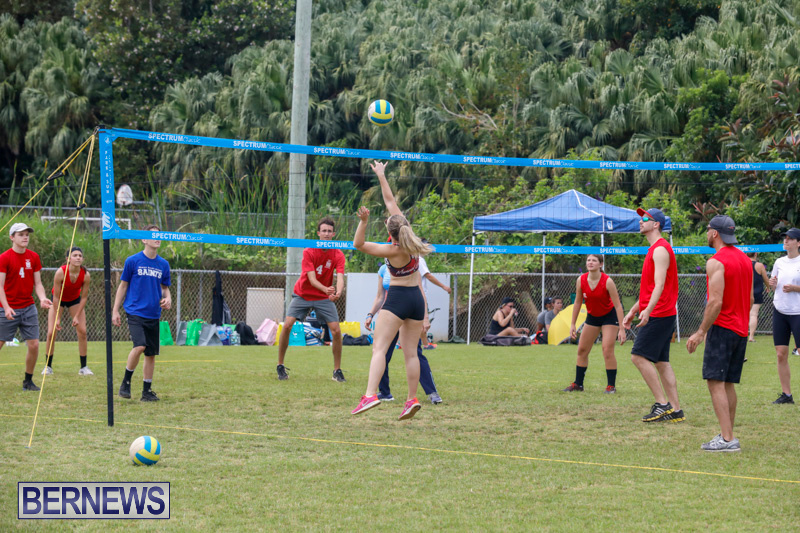 26th-Annual-Corporate-Volleyball-Tournament-Bermuda-May-12-2018-3065
