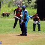Cricket Bermuda May 30 2018 (10)