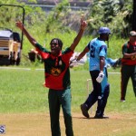 Cricket Bermuda May 30 2018 (17)