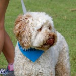 Paws To The Park at the Arboretum Bermuda, May 12 2018-3236