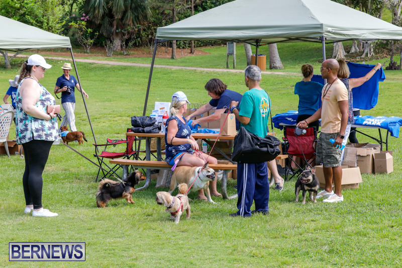 Paws-To-The-Park-at-the-Arboretum-Bermuda-May-12-2018-3239