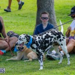Paws To The Park at the Arboretum Bermuda, May 12 2018-3248