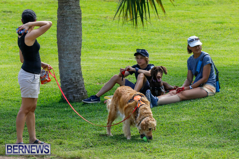 Paws-To-The-Park-at-the-Arboretum-Bermuda-May-12-2018-3256