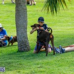 Paws To The Park at the Arboretum Bermuda, May 12 2018-3274
