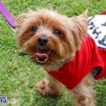 Paws To The Park at the Arboretum Bermuda, May 12 2018-3280
