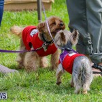 Paws To The Park at the Arboretum Bermuda, May 12 2018-3296