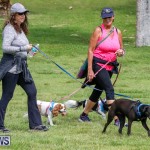 Paws To The Park at the Arboretum Bermuda, May 12 2018-3305