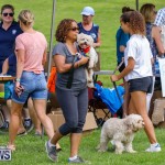 Paws To The Park at the Arboretum Bermuda, May 12 2018-3317