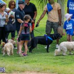 Paws To The Park at the Arboretum Bermuda, May 12 2018-3334