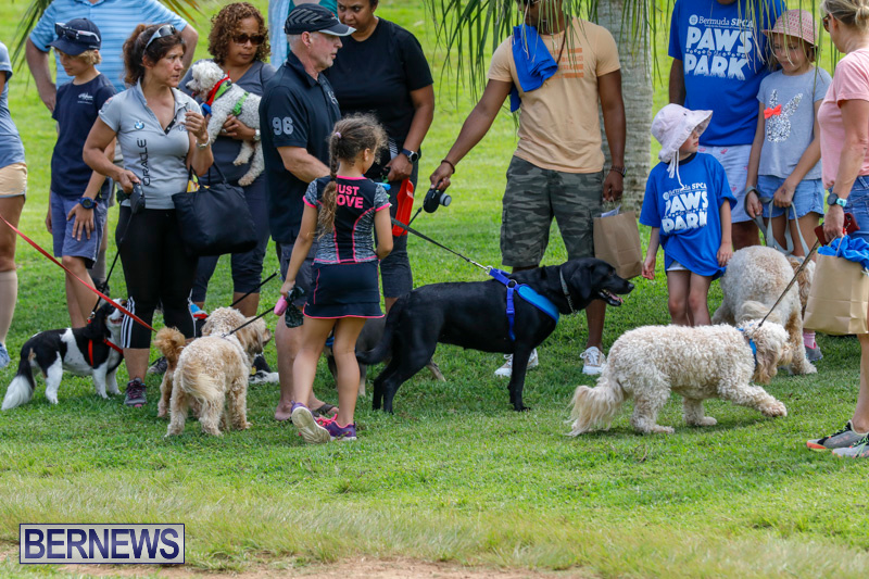 Paws-To-The-Park-at-the-Arboretum-Bermuda-May-12-2018-3334