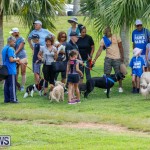Paws To The Park at the Arboretum Bermuda, May 12 2018-3335