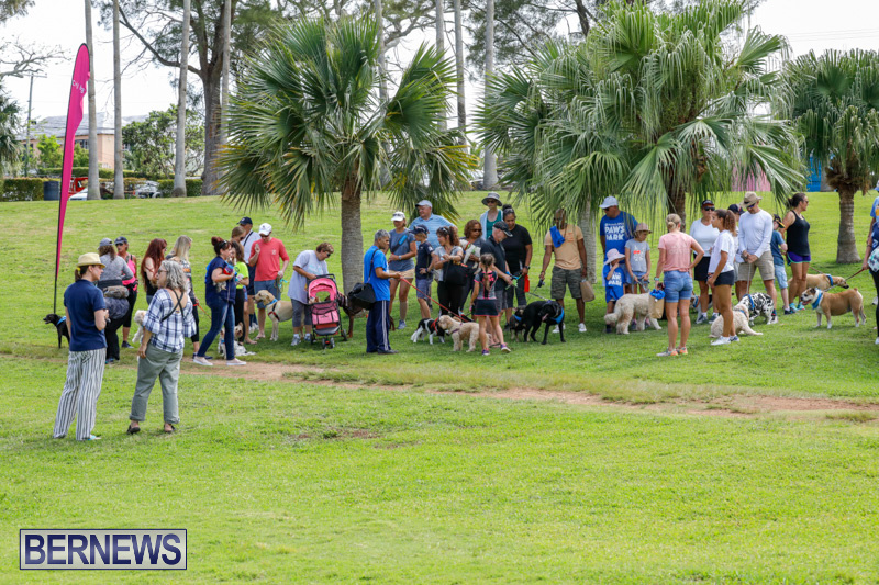 Paws-To-The-Park-at-the-Arboretum-Bermuda-May-12-2018-3337