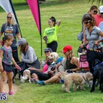 Paws To The Park at the Arboretum Bermuda, May 12 2018-3348