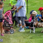 Paws To The Park at the Arboretum Bermuda, May 12 2018-3350