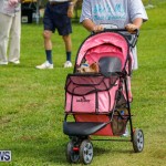 Paws To The Park at the Arboretum Bermuda, May 12 2018-3358