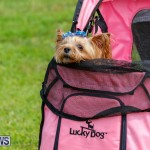 Paws To The Park at the Arboretum Bermuda, May 12 2018-3363