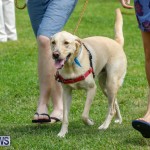Paws To The Park at the Arboretum Bermuda, May 12 2018-3381