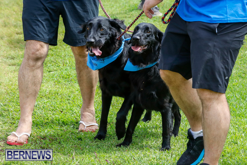 Paws-To-The-Park-at-the-Arboretum-Bermuda-May-12-2018-3385