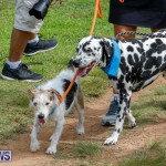 Paws To The Park at the Arboretum Bermuda, May 12 2018-3399