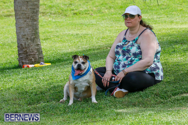 Paws-To-The-Park-at-the-Arboretum-Bermuda-May-12-2018-3424