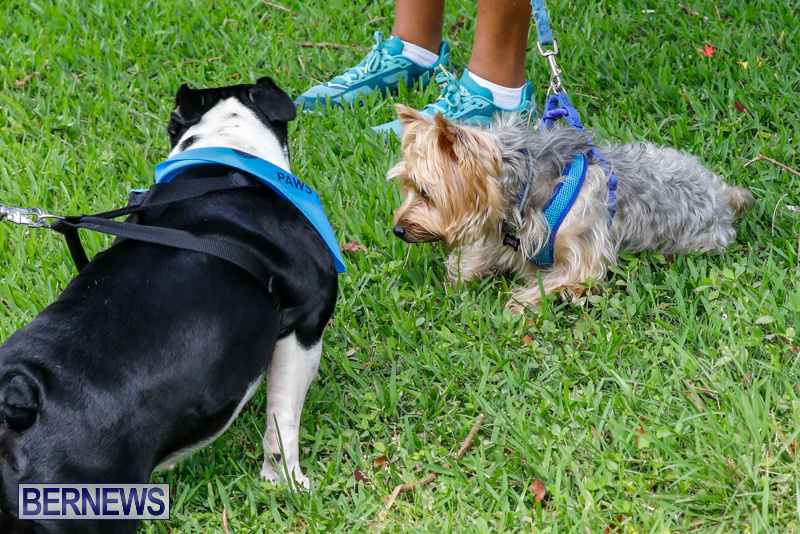 Paws-To-The-Park-at-the-Arboretum-Bermuda-May-12-2018-3440