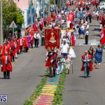 Santo Cristo Dos Milagres Festival Bermuda, May 6 2018-1851